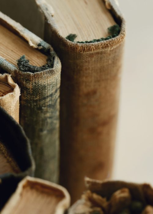 Bibliothèque de livres anciens à collectionner